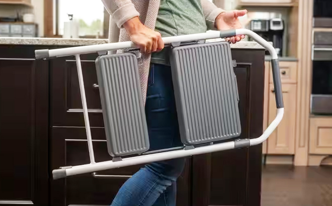 A Hand Carrying Gorilla 2 Step Compact Ladder