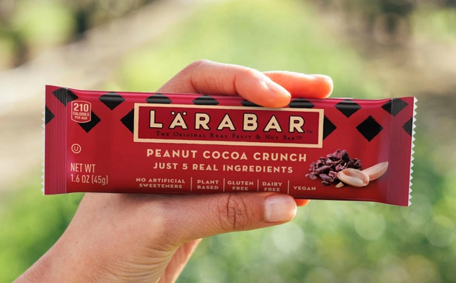 A Hand holding a Peanut Cocoa Crunch Larabar