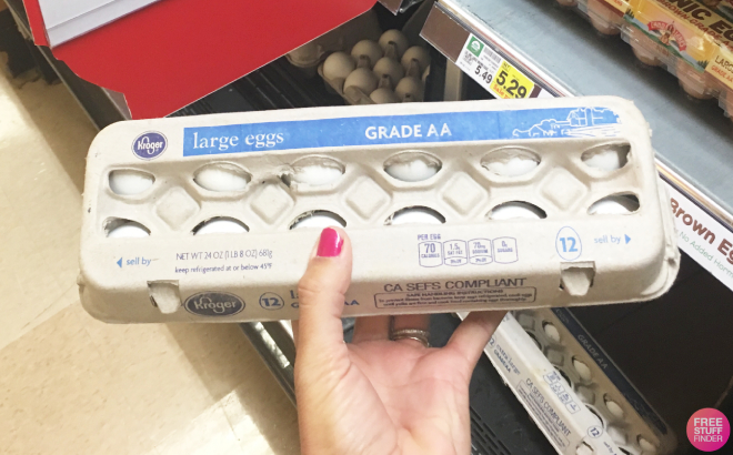 A Person Holding a Carton of Kroger Brand Eggs