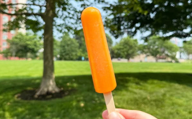 A Person Holding a Popsicle