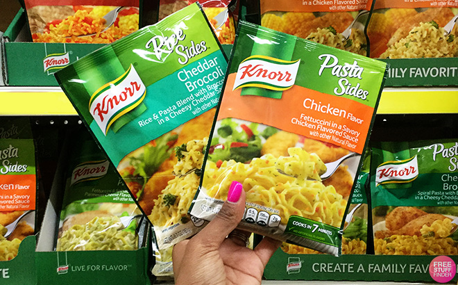 A Person Holding Knorr Pasta Sides