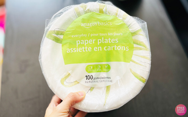 Amazon Basics 100ctt Paper Plates