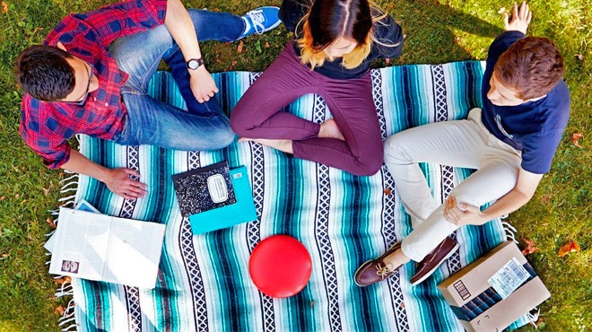 Students Having a Picnic