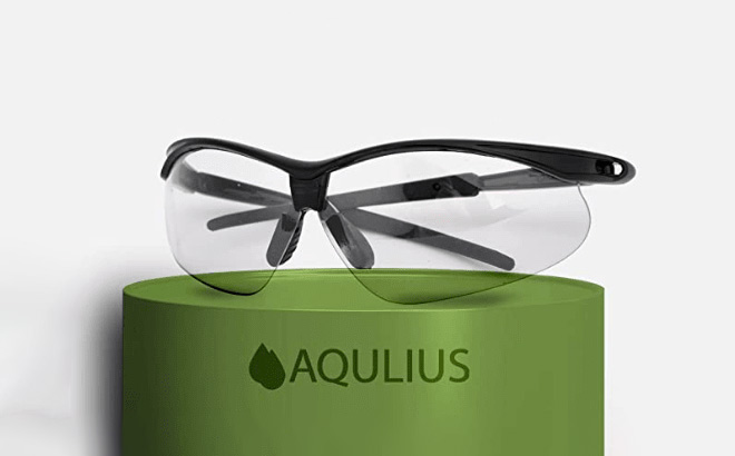 Aqulius Safety Glasses