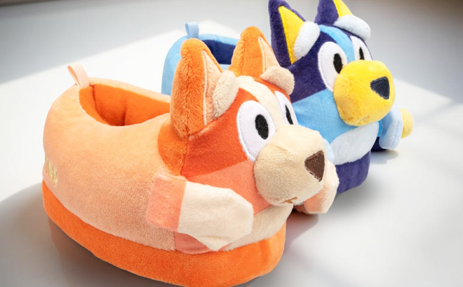 Bluey and Bingo Kids Slippers
