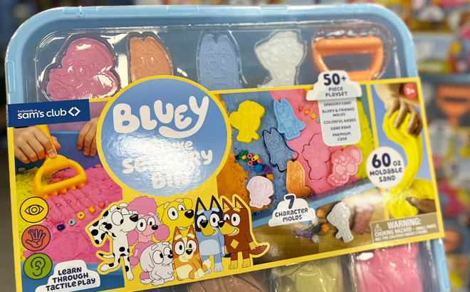 Bluey Deluxe Sensory Bin with Accessories at Sams Club