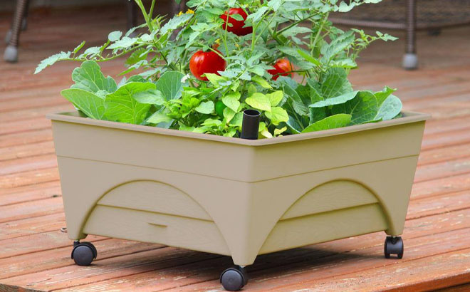 City Pickers Patio Raised Garden Bed with Watering System