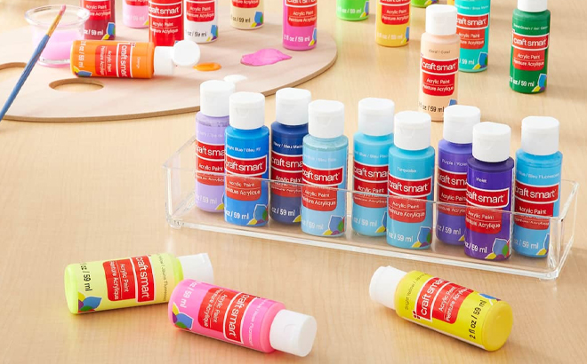 Craft Smart Paint Bottles on a Table
