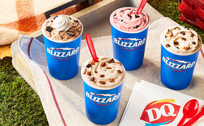Dairy Queen Blizzards