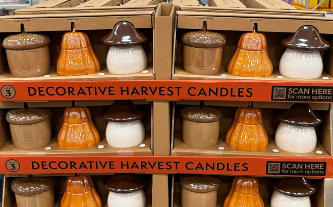 Decorative Harvest Candles