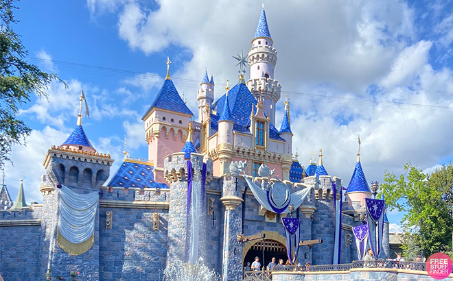 Disneyland Castle