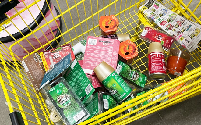 Items in Cart at Dollar General
