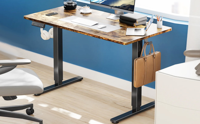 Electric Standing Desk 1