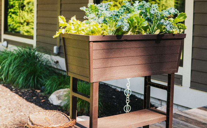 Elevated Brown Resin Raised Garden Bed