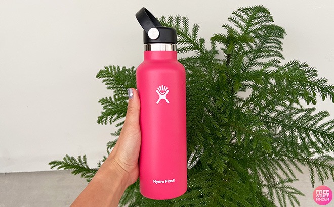 GIVEAWAY! Win FREE Hydro Flask Bottle TODAY (2 Winners!)🎉