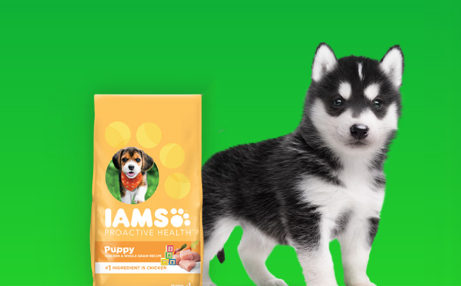 IAMS Puppy food