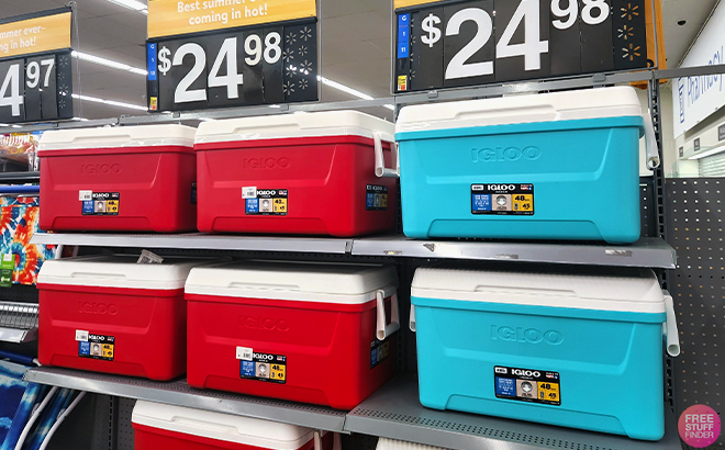 Igloo 48 Quart Laguna Ice Chest Coolers in shelf