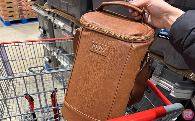 Igloo Luxe Cooler Bag in cart