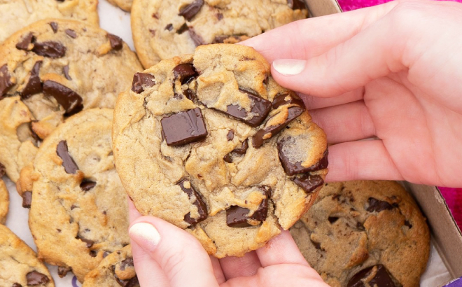 Insomnia Cookies Chocolate Chunk Cookie