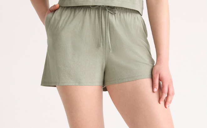 Joyspun Womens Pajama Shorts