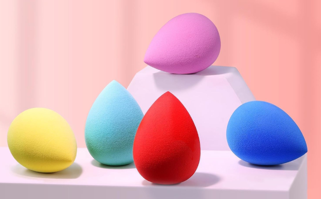 Makeup Sponge 5 Piece Set