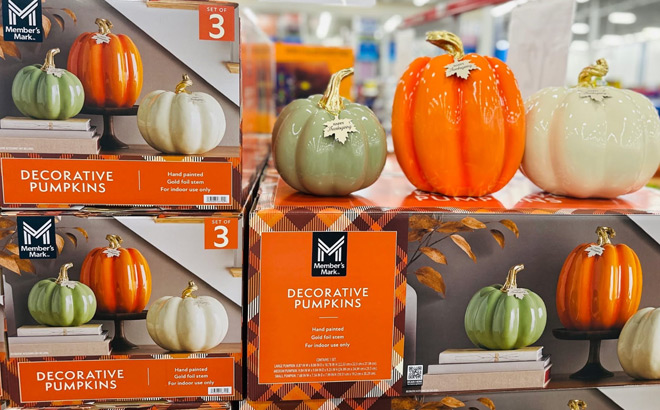 Members Mark Decorative Pumpkins at Sams Club