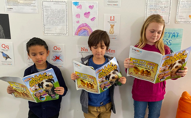 FREE Kids’ Guide to Helping Animals Magazine + Stickers
