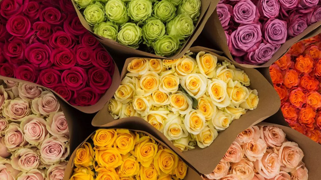 Rose Bouqets in Various Colors from Rose Farmers