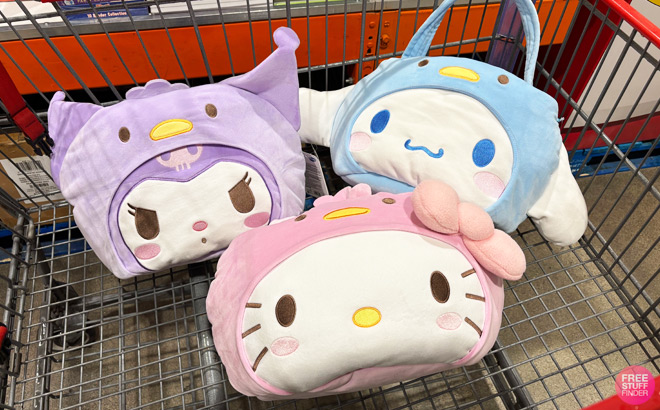 Sanrio Hello Kitty and Friends Spring Plush Pail