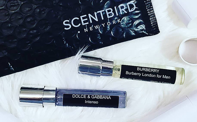 Scentbird Dolce & Gabbana and Burberry Perfume Samples