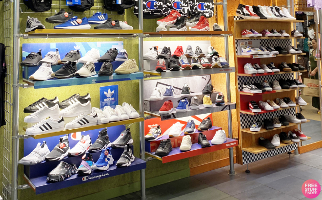 Shoes Overview from Different Brands