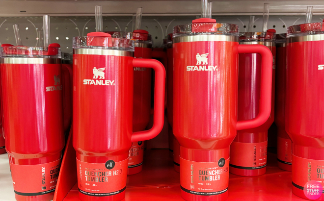 Stanley x e l f H2 0 FlowState Quencher Tumbler