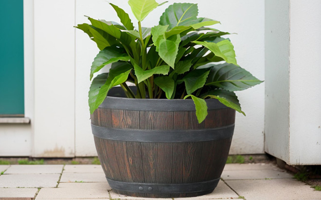 Style Selections Whiskey Barrel Planter