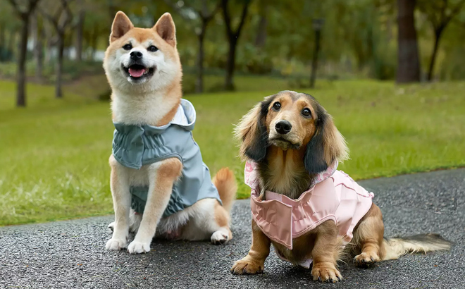 Two Dogs Wearing Koolaburra by UGG Aiden Reversible Pet Raincoat