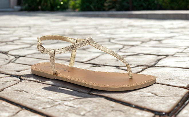 Wild Pair Krisleyy Sandals in Gold